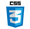 css3 logo