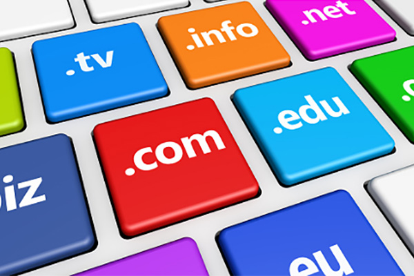 Domain registration